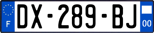 DX-289-BJ