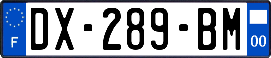 DX-289-BM