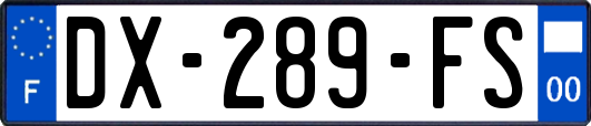 DX-289-FS