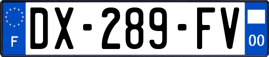DX-289-FV
