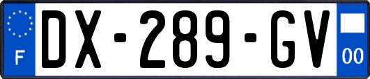 DX-289-GV