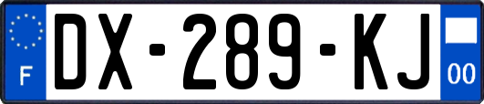 DX-289-KJ