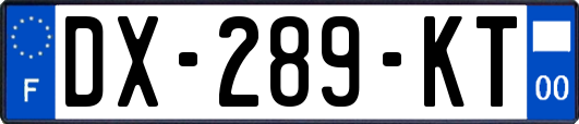 DX-289-KT