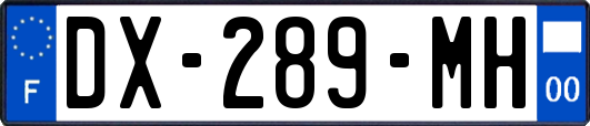 DX-289-MH