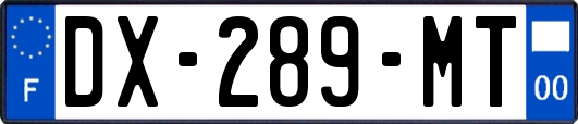 DX-289-MT