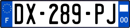 DX-289-PJ