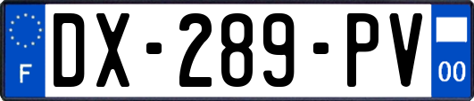 DX-289-PV