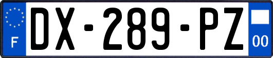 DX-289-PZ