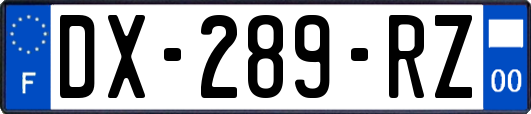 DX-289-RZ