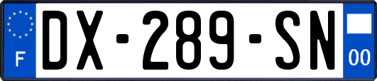 DX-289-SN