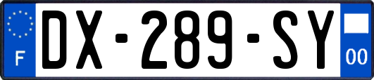 DX-289-SY