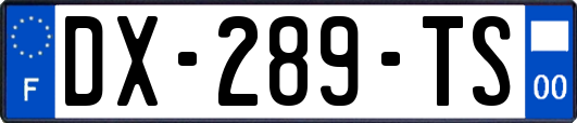 DX-289-TS