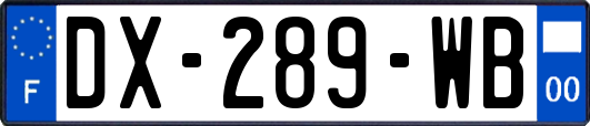 DX-289-WB