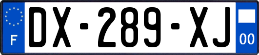 DX-289-XJ