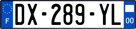 DX-289-YL