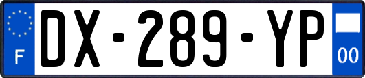 DX-289-YP