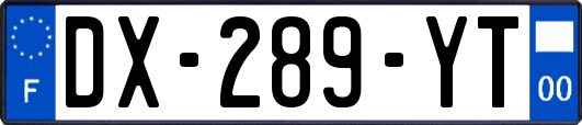 DX-289-YT