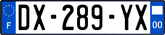 DX-289-YX