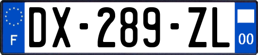 DX-289-ZL