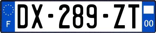 DX-289-ZT