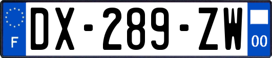 DX-289-ZW