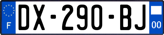 DX-290-BJ