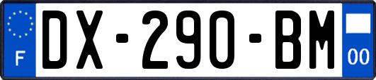 DX-290-BM