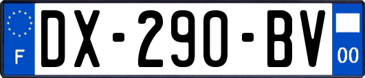 DX-290-BV