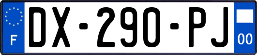 DX-290-PJ