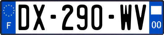 DX-290-WV