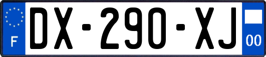 DX-290-XJ