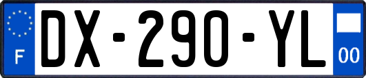 DX-290-YL