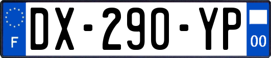 DX-290-YP