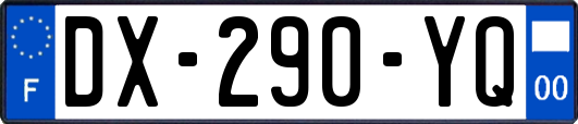 DX-290-YQ