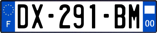 DX-291-BM