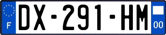 DX-291-HM