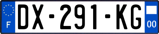 DX-291-KG