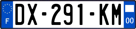 DX-291-KM