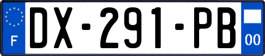 DX-291-PB