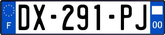 DX-291-PJ
