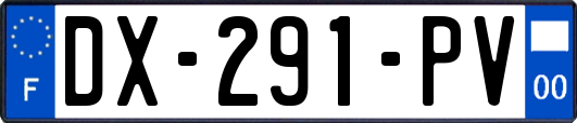 DX-291-PV