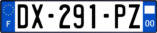 DX-291-PZ