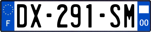 DX-291-SM