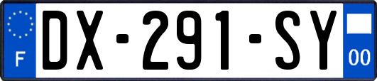 DX-291-SY