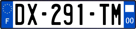 DX-291-TM