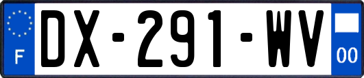 DX-291-WV