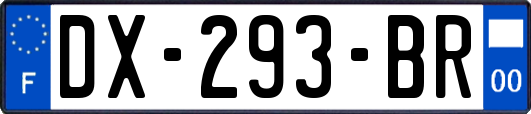 DX-293-BR