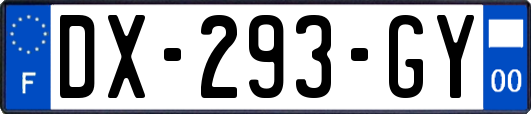 DX-293-GY