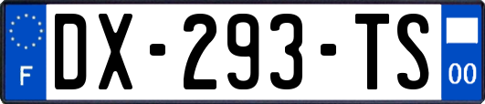 DX-293-TS