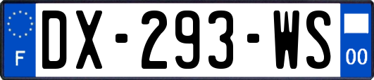 DX-293-WS